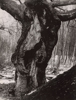 Irena Blühová – Varianty IV. 