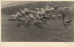 Ladislav Rozman – Cesta domov 