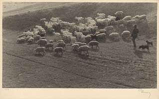 Ladislav Rozman – Cesta domov 