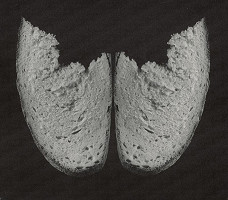 Pavel Janek – Chlieb 