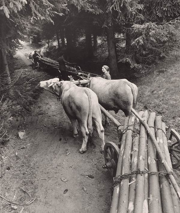 Karol Benický – Robotníci. Zvoz dreva – Čierny Balog 