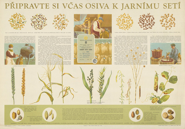 Český autor – Pripravte si včas osivo k jarnému siatiu 