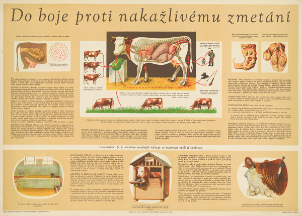 Karel Drchal – Do boja proti nákazám 