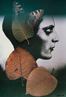 Daniel Zachar – Portrét 