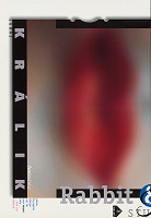 Vladislav Rostoka, Juraj Králik – Rabbit & Solution Studio. Rostoka /Grafikusművész. Králik/ Fotóművész. 