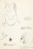 Ladislav Vychodil – L. Janáček: Príhody líšky Bystroušky 