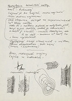 Ladislav Vychodil – O. Daněk: Vojvodkyňa Valdštejnských vojsk  