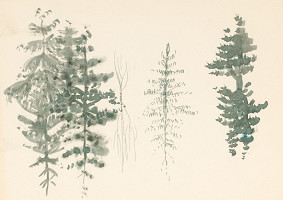 Ladislav Vychodil – Maurice Maeterlinck: Peleas a Melisanda 