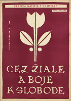Andrej Barčík – Cez žiale a boje k slobode 