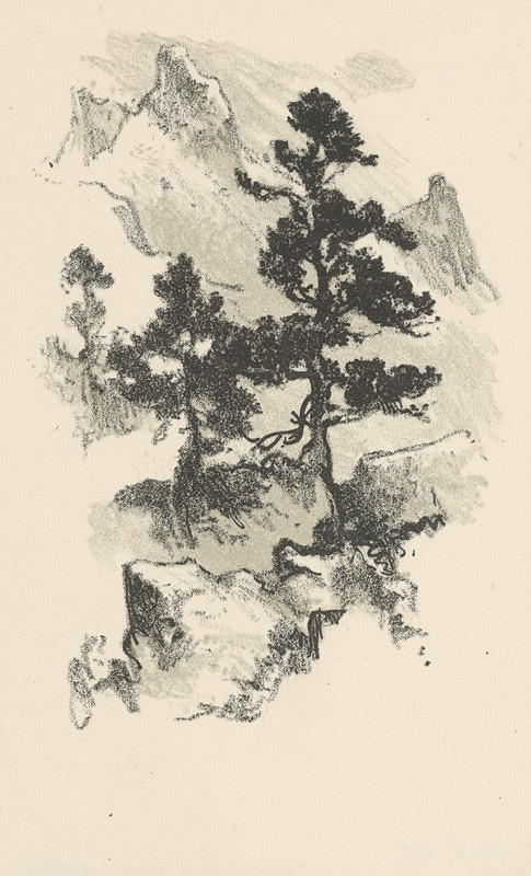 Jaroslav Vodrážka – Borovice 