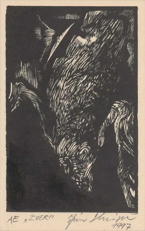 Ján Skrisa – AE. Zver 