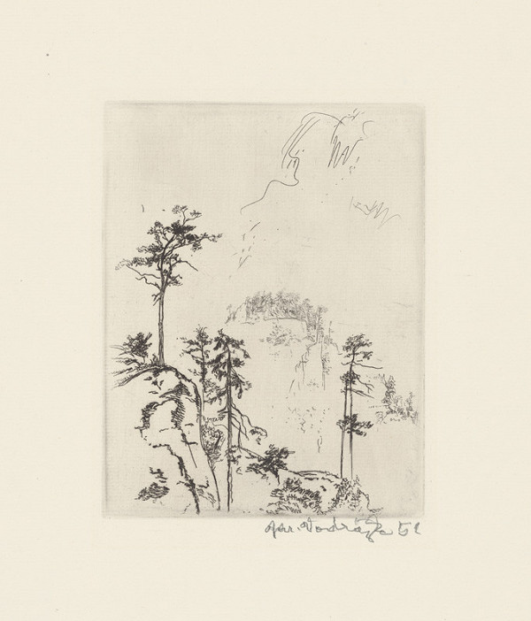 Jaroslav Vodrážka – Borovica na skale 