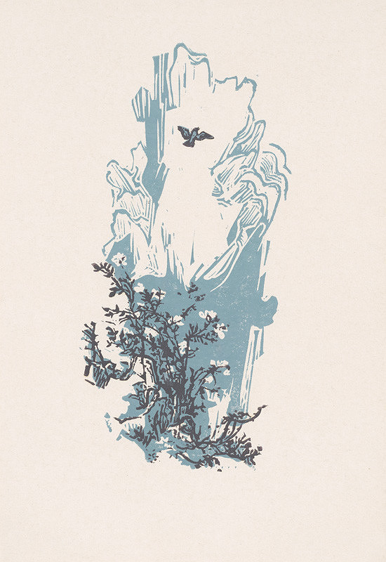 Jaroslav Vodrážka – Škovránok 