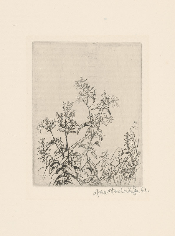 Jaroslav Vodrážka – Poľné kvetiny 