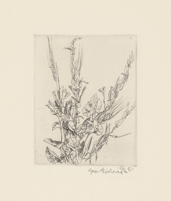 Jaroslav Vodrážka – Kvety s obilím 