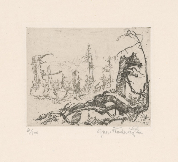 Jaroslav Vodrážka – Sucháre-Rúbanisko 