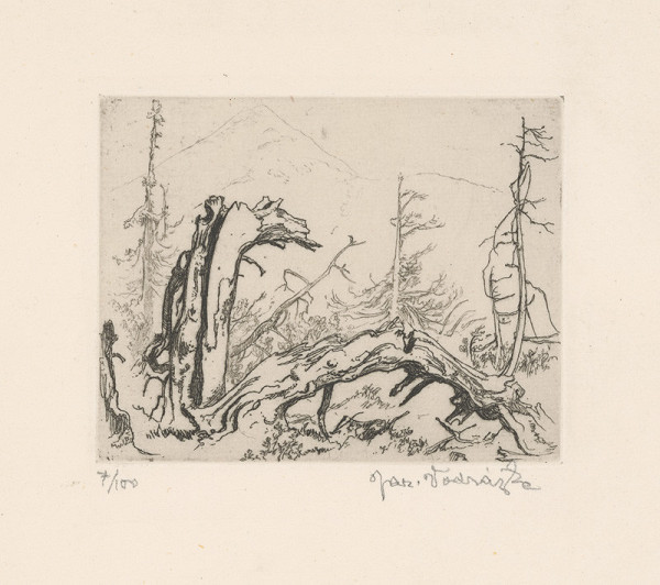 Jaroslav Vodrážka – Sucháre 