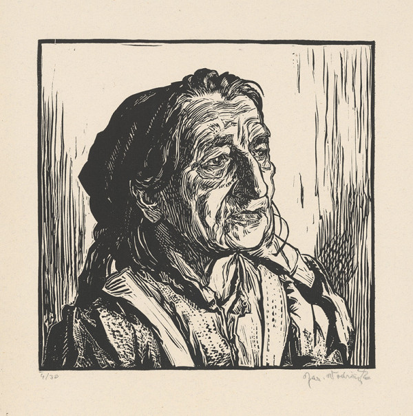 Jaroslav Vodrážka – Žena z Netolic 