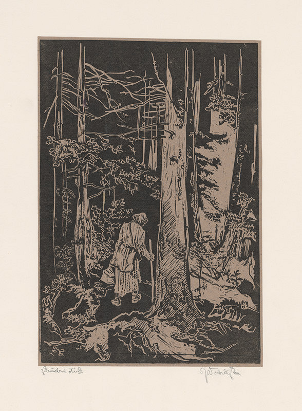 Jaroslav Vodrážka – Žena v hore 