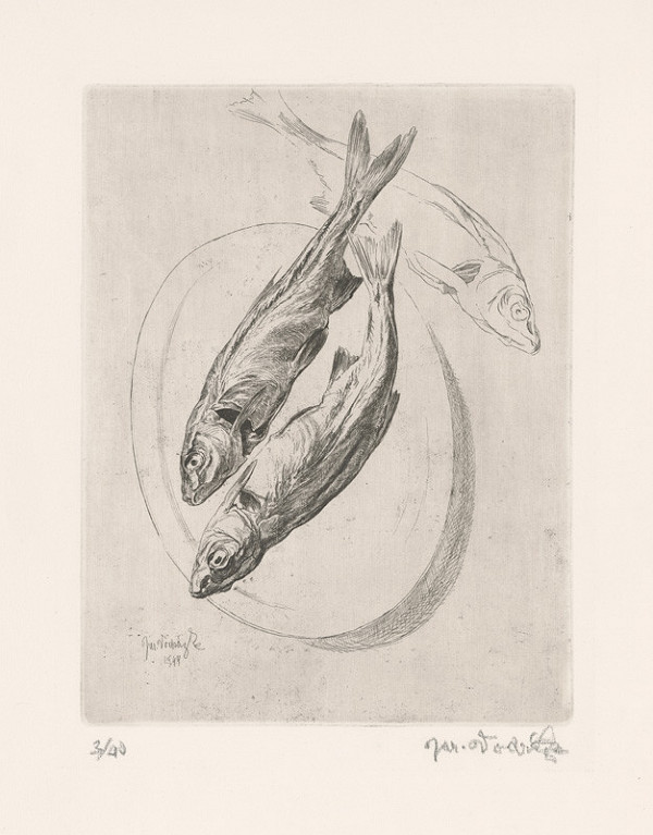 Jaroslav Vodrážka – Ryby 