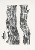 Ivan Štubňa – Život a dielo J. Hollého II. 