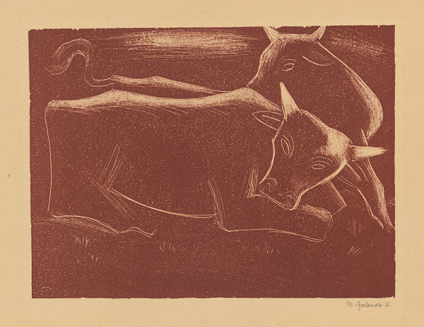 Mikuláš Galanda – Kravky 