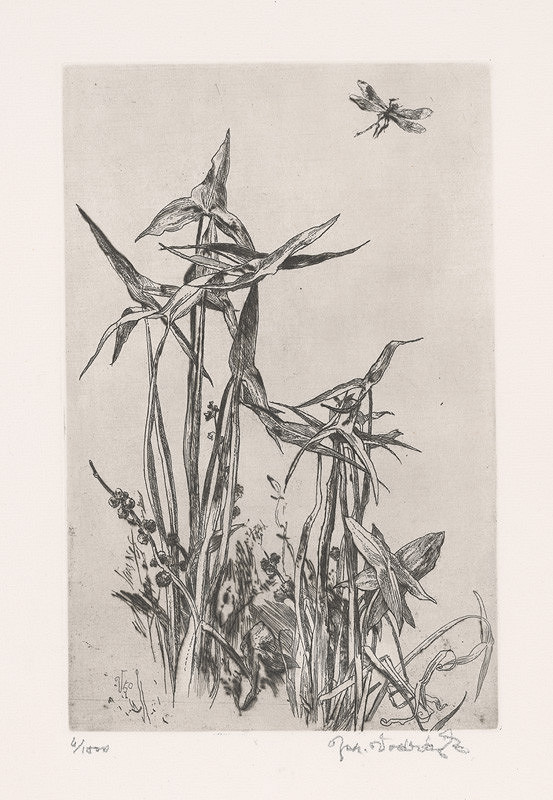 Jaroslav Vodrážka – Síhatka