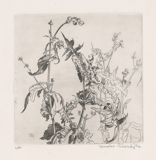 Jaroslav Vodrážka – Plevík