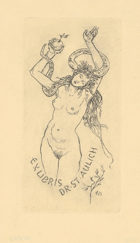Jaroslav Vodrážka – Ex libris Dr. St. Aulich 