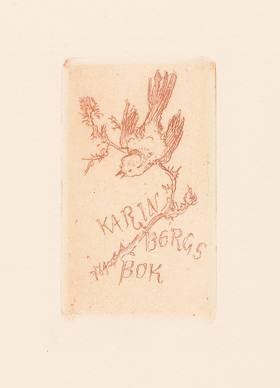 Jaroslav Vodrážka – Karin Bergs bok 