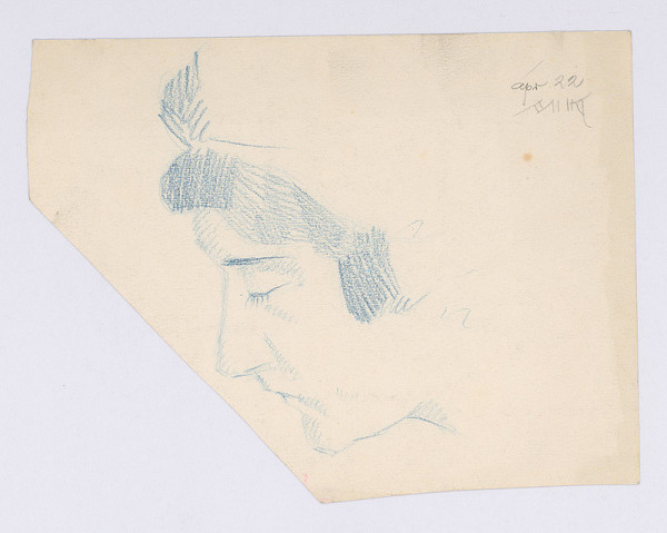 Mikuláš Galanda – Ženská tvár z profilu 