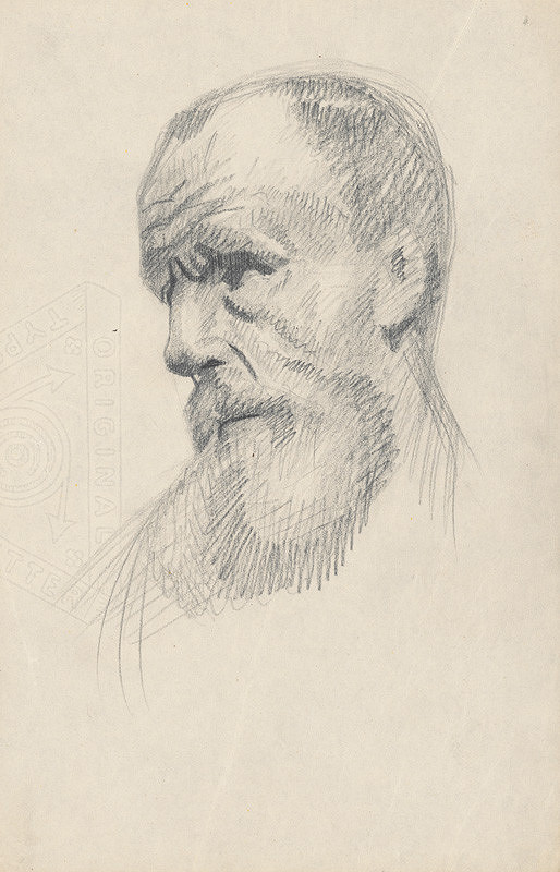 Mikuláš Galanda – Portrét muža s bradou 