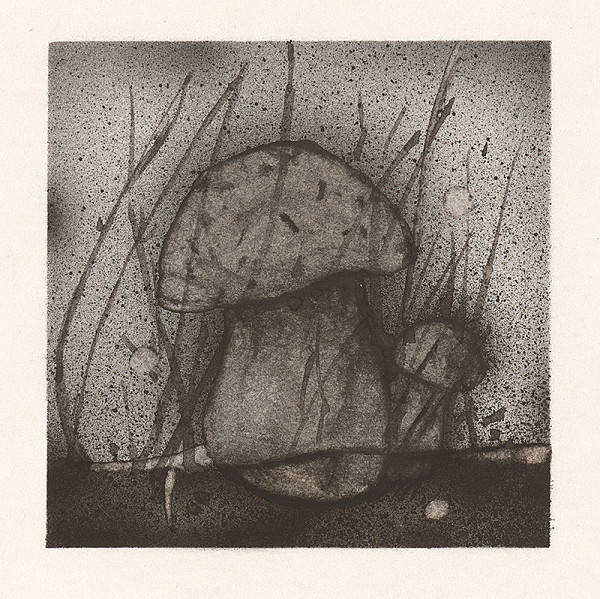 Ivan Riabič – Hubárik 