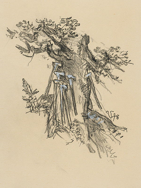 Jaroslav Vodrážka – Zbojnícka 