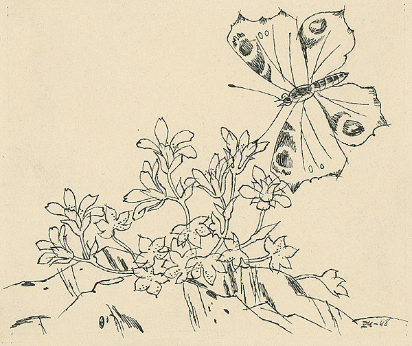 Emil Makovický – Kvety a motýle