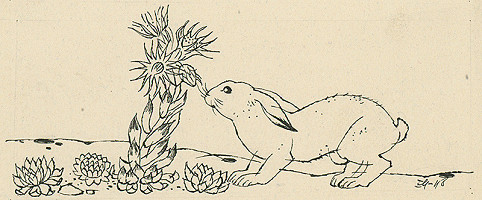 Emil Makovický – Nebezpečný život 