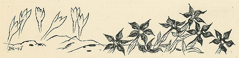 Emil Makovický – Pozdrav snehu 