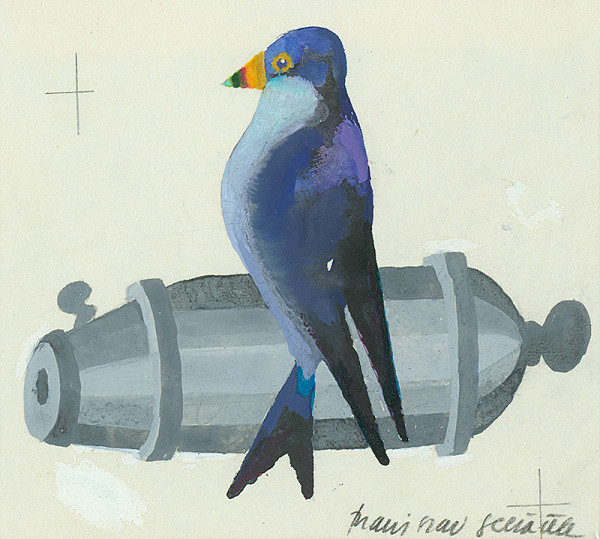 Branislav Slezáček – Mačacia krajina 7