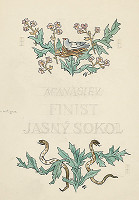 Jaroslav Vodrážka – Finist jasný sokol 13 