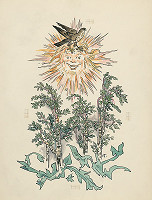 Jaroslav Vodrážka – Finist jasný sokol 9 