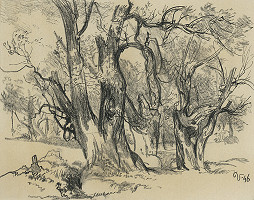 Jaroslav Vodrážka – Štúdia vŕby 