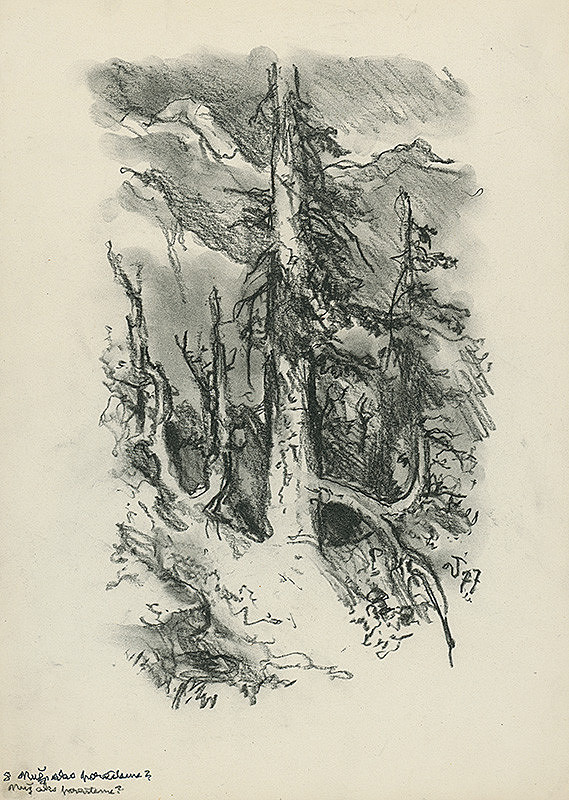 Jaroslav Vodrážka – Nuž ako porastieme 