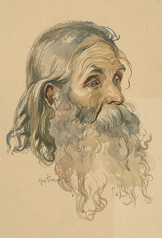 Jaroslav Vodrážka – Starec s bradou