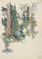 Jaroslav Vodrážka – Divé labute 12 