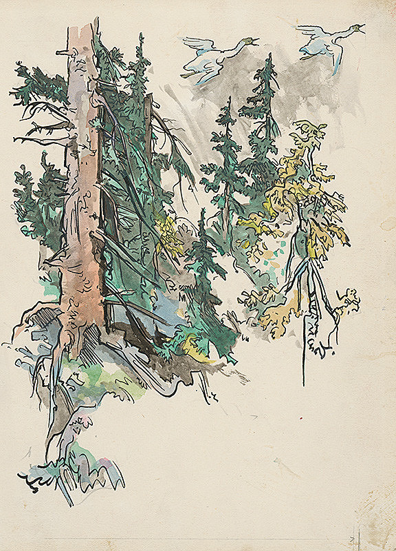 Jaroslav Vodrážka – Divé labute 12 