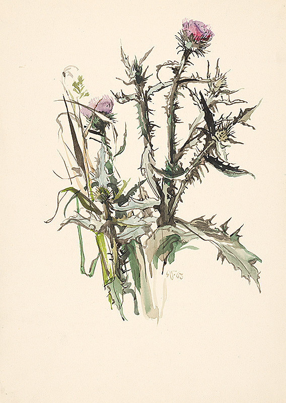 Jaroslav Vodrážka – Kvitnúce bodliaky 