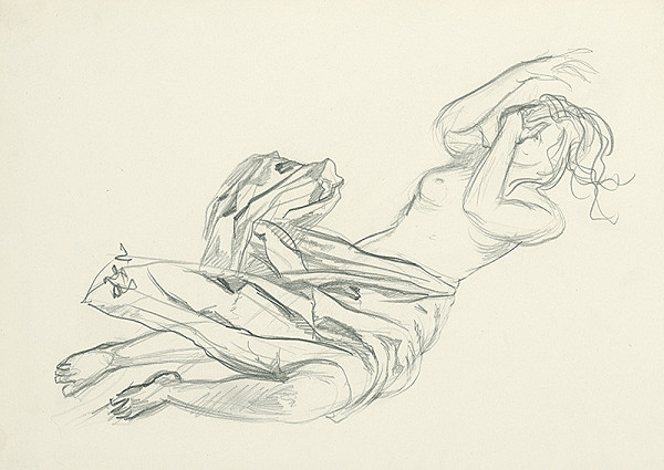 Jaroslav Vodrážka – Padajúci ženský poloakt 