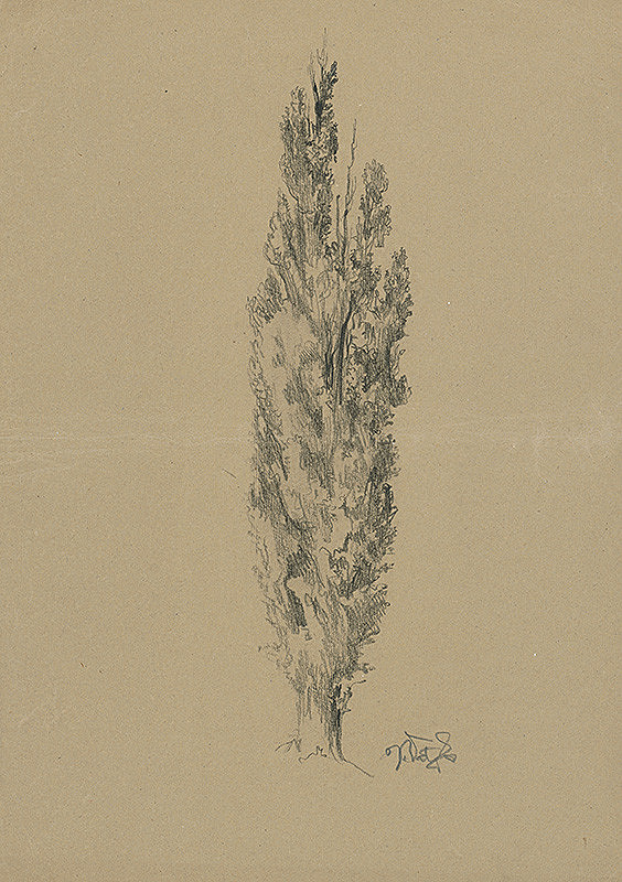 Jaroslav Vodrážka – Topoľ 