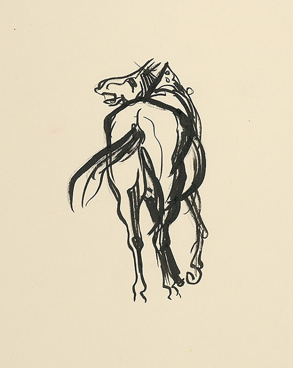 Jaroslav Vodrážka – Stojaci kôň odzadu 