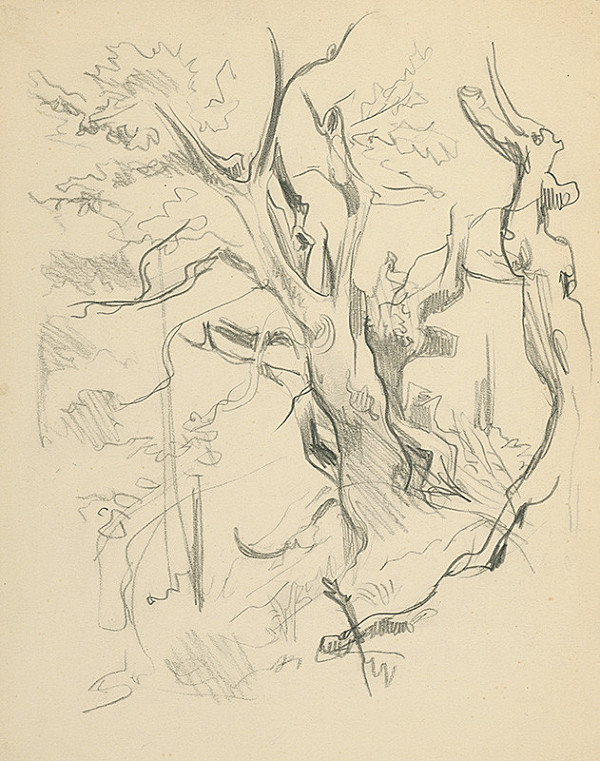 Jaroslav Vodrážka – Vŕby 